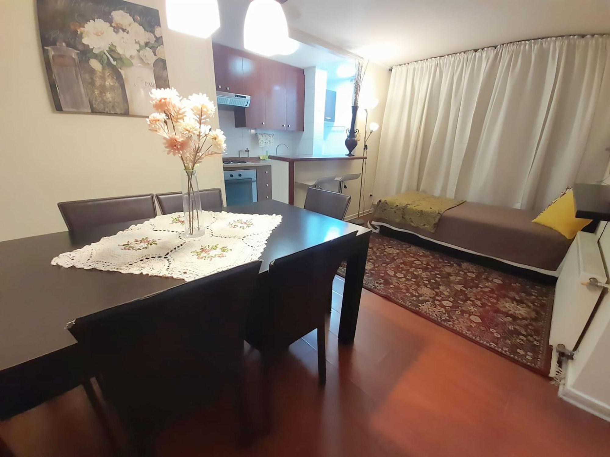 Vip Apartments Chile — Photos 2